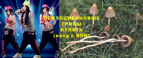 шишки Каменск-Шахтинский