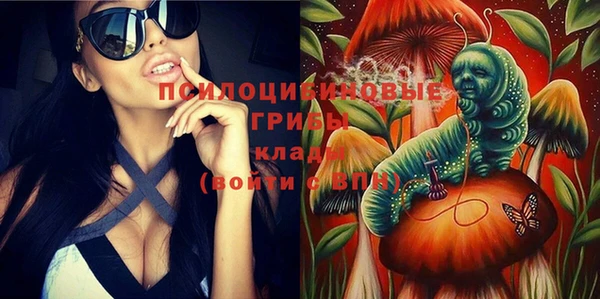 марки lsd Каменногорск