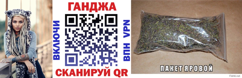 Бошки Шишки планчик  где найти   Курильск 